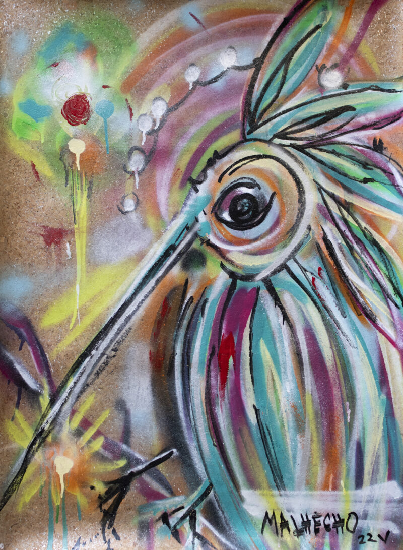 Magic Hummingbird - Imagen 2
