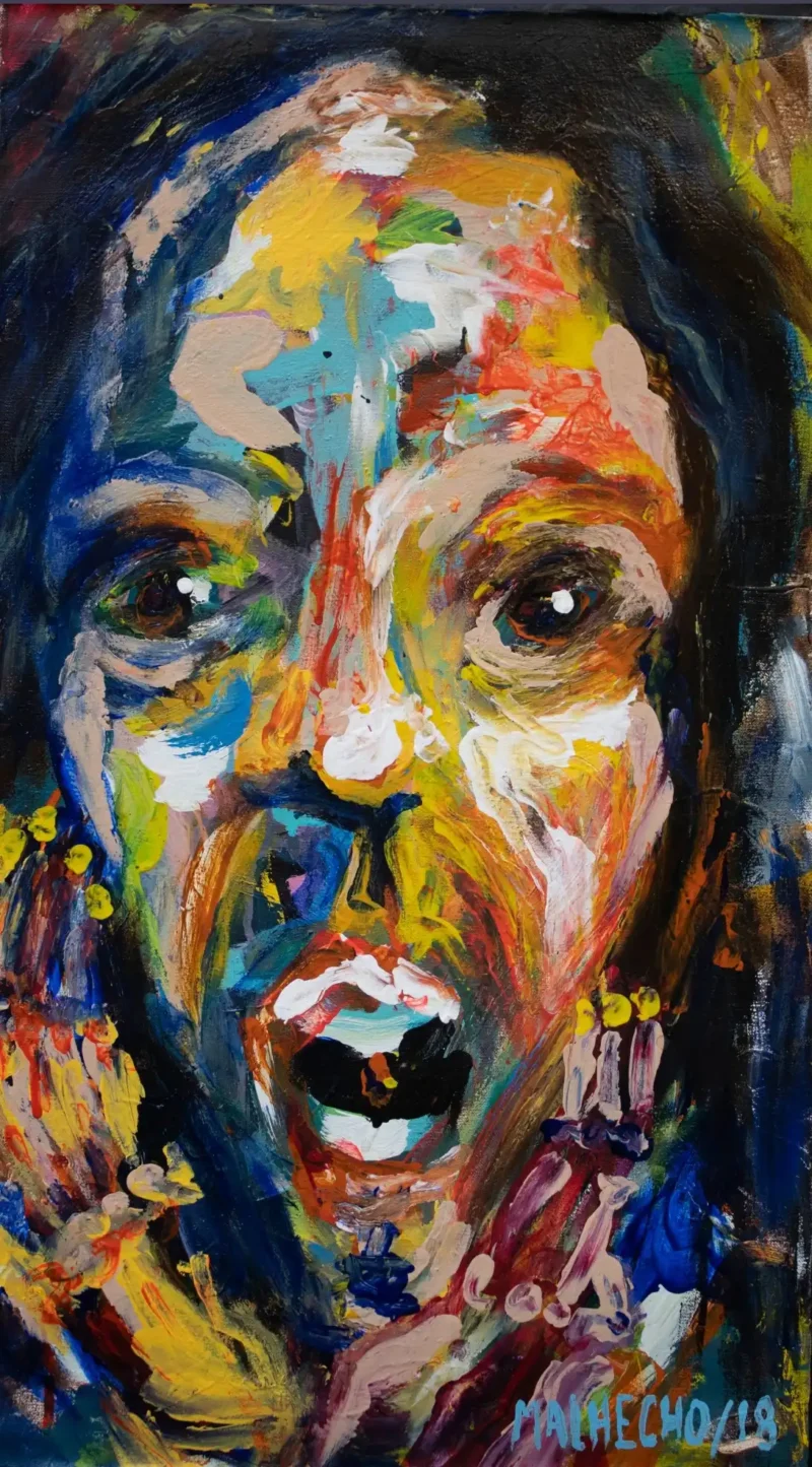 Face Surprise