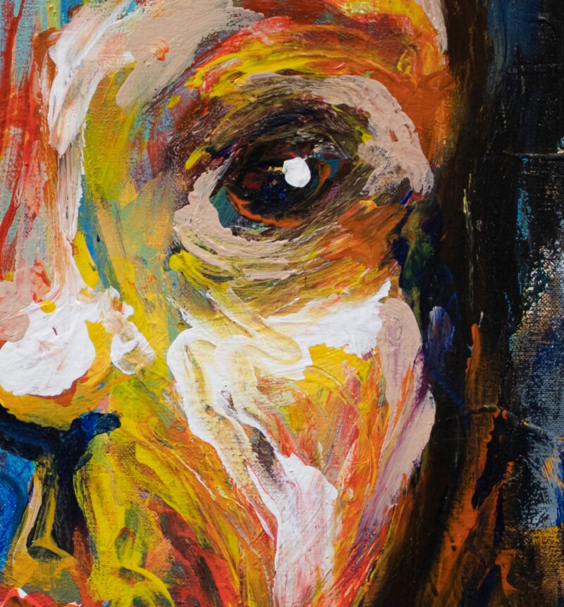 Face Surprise - Imagen 4