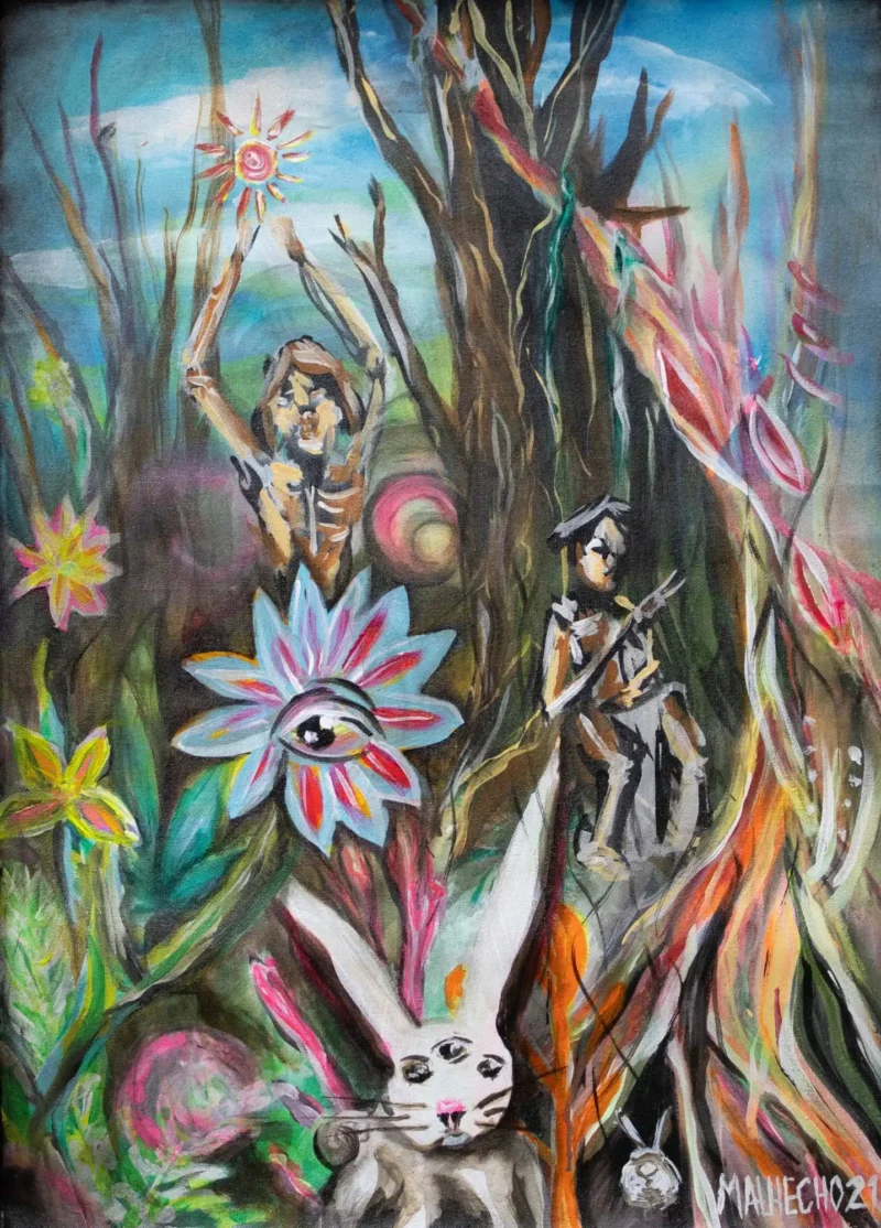 Enchanted forest