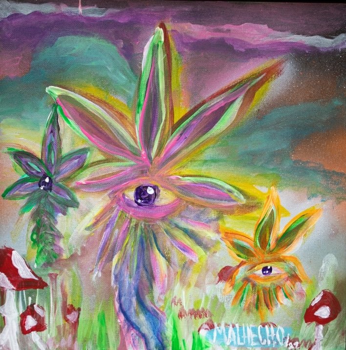 The Magical Andean Frailejon 1